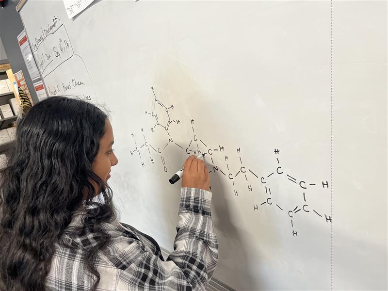 Featured Image for Rigorous Curriculum, Personalized Support: How We Help Every Student Thrive