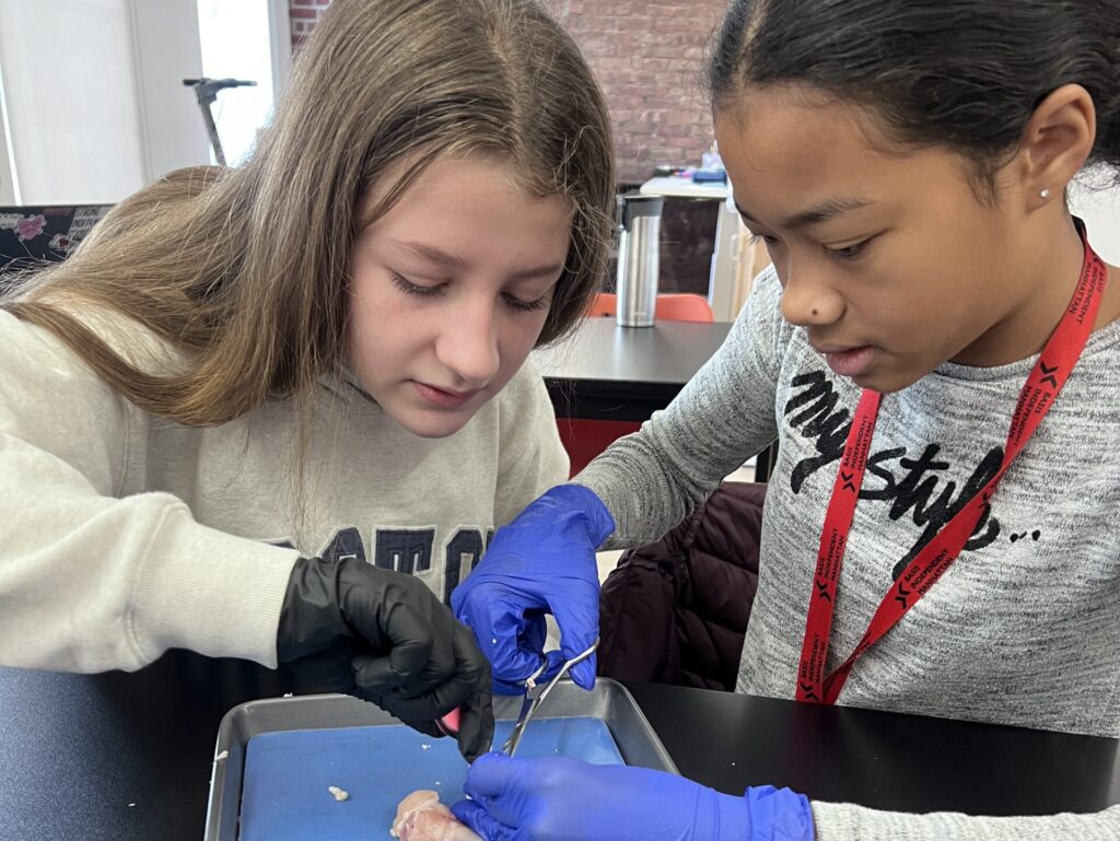 Two female students performing a dissection in biology class