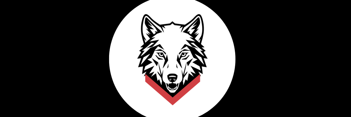 Featured Image for Introducing the BASIS Independent Dublin Mascot