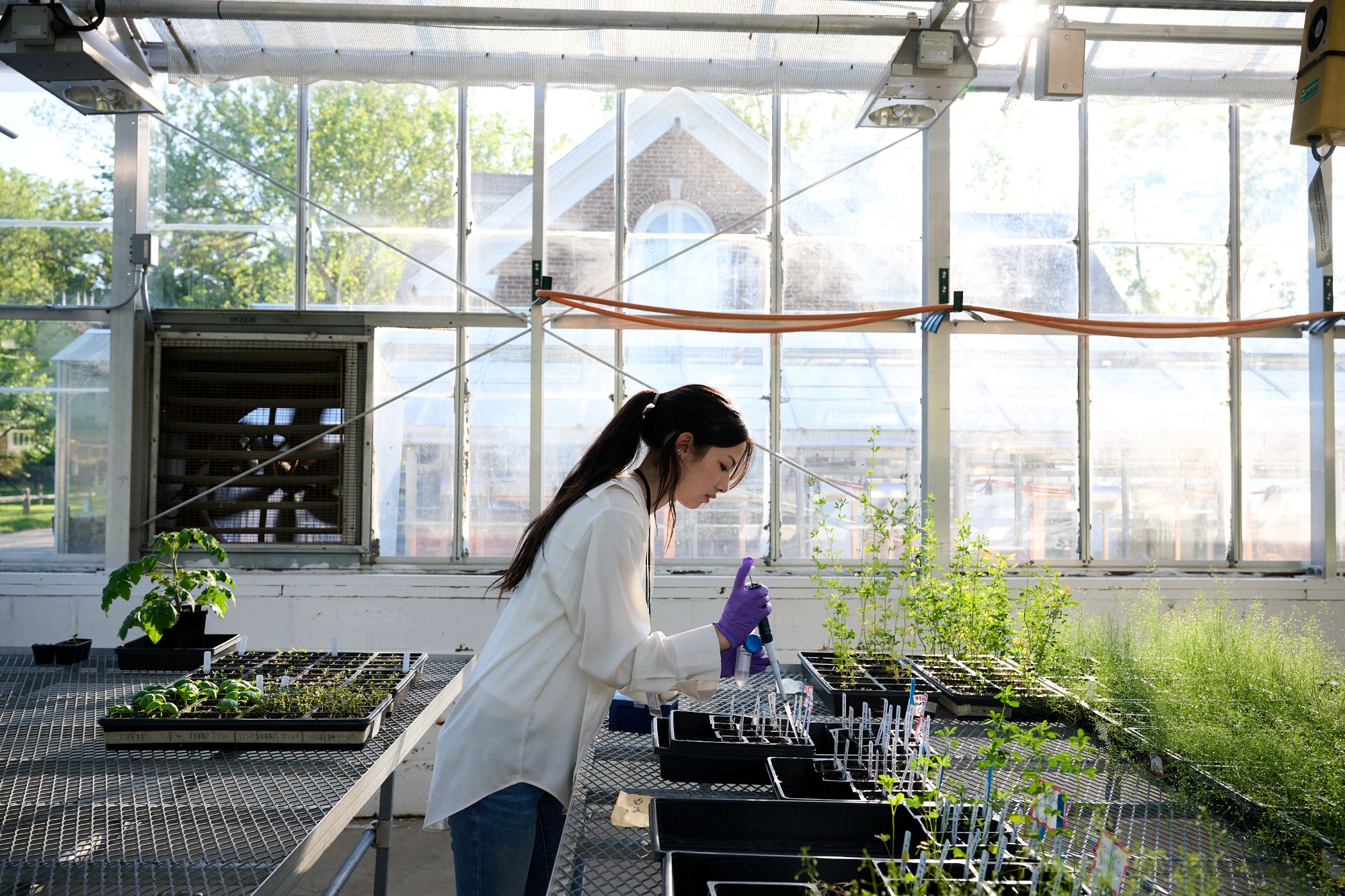 Featured Image for Demystifying Admissions: What to Expect at Your Family Meeting 