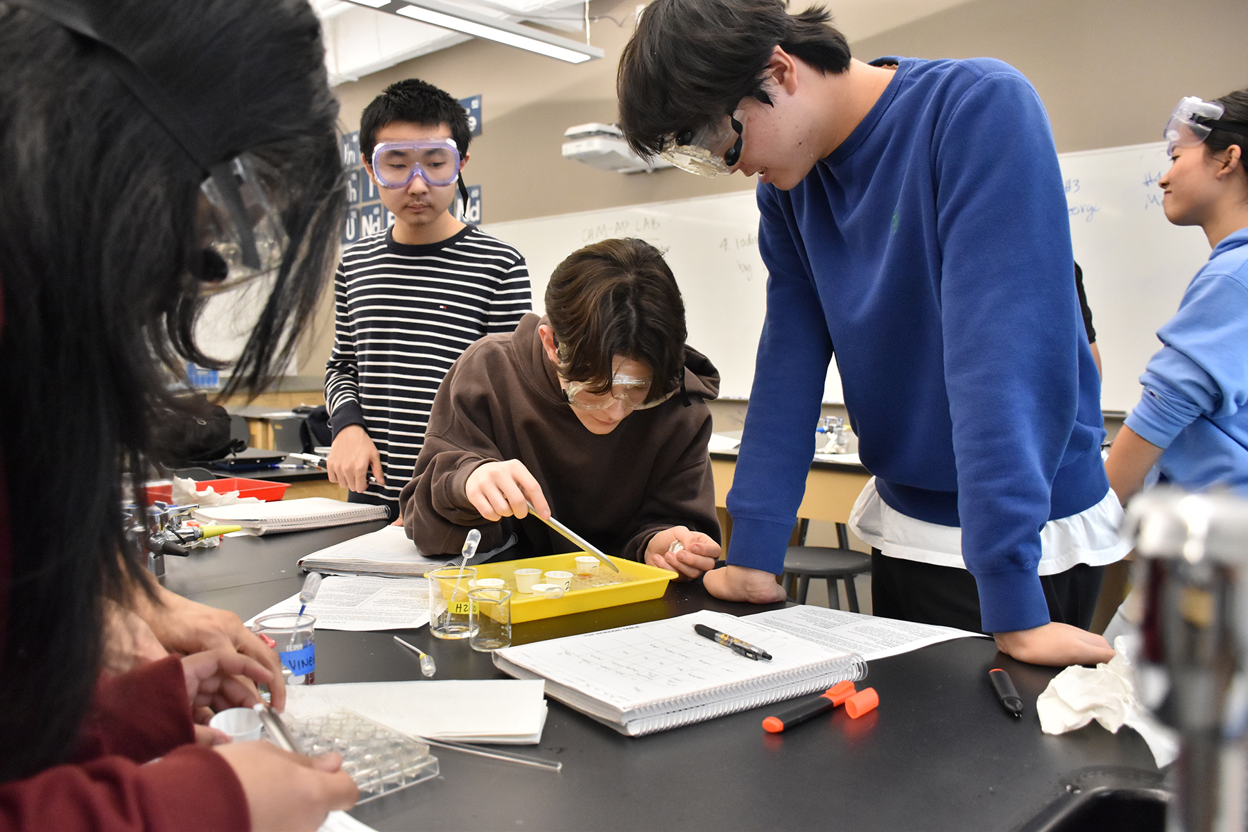 Featured Image for Holiday Season Has Arrived at BIM!