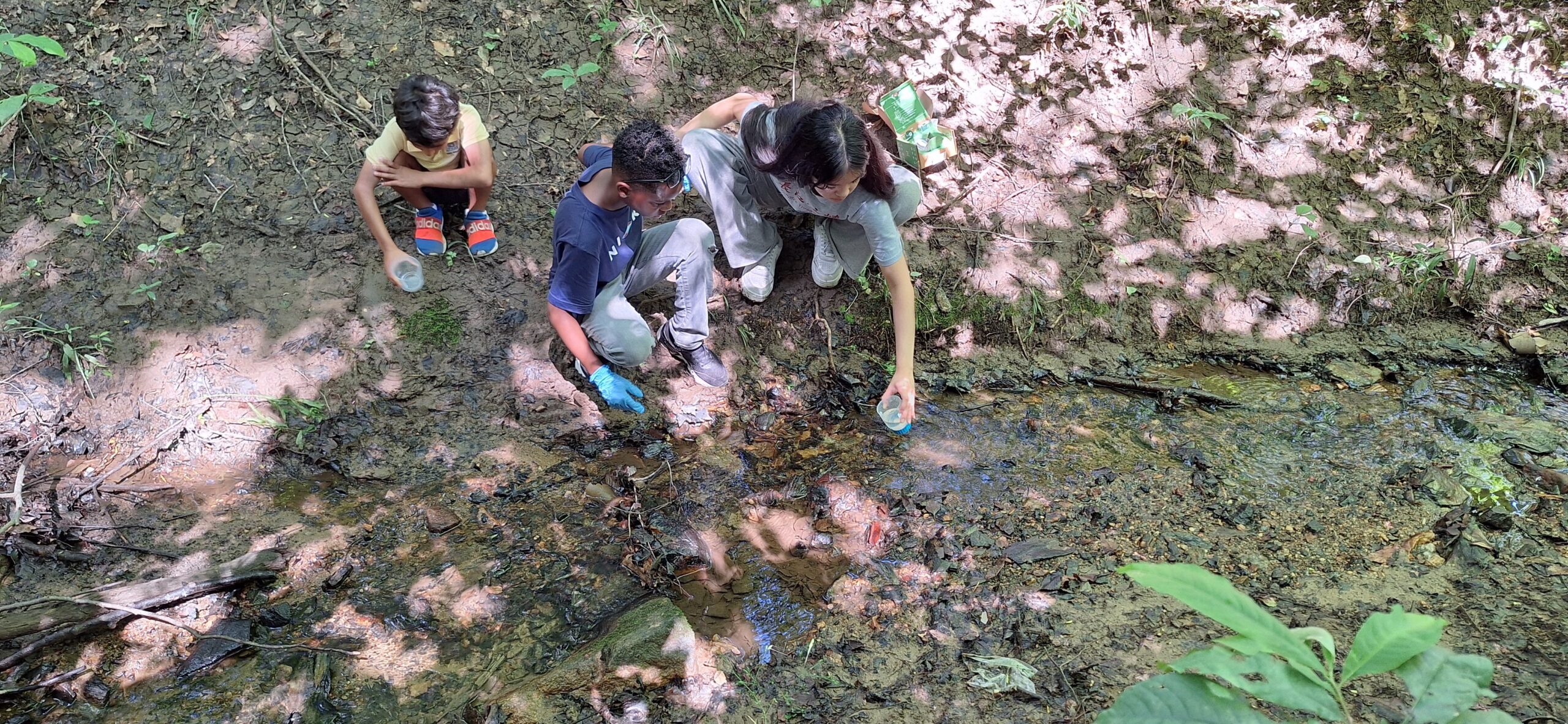 Featured Image for Student Spotlight: Hera L-Y—Researching Forever Chemicals in Our Water