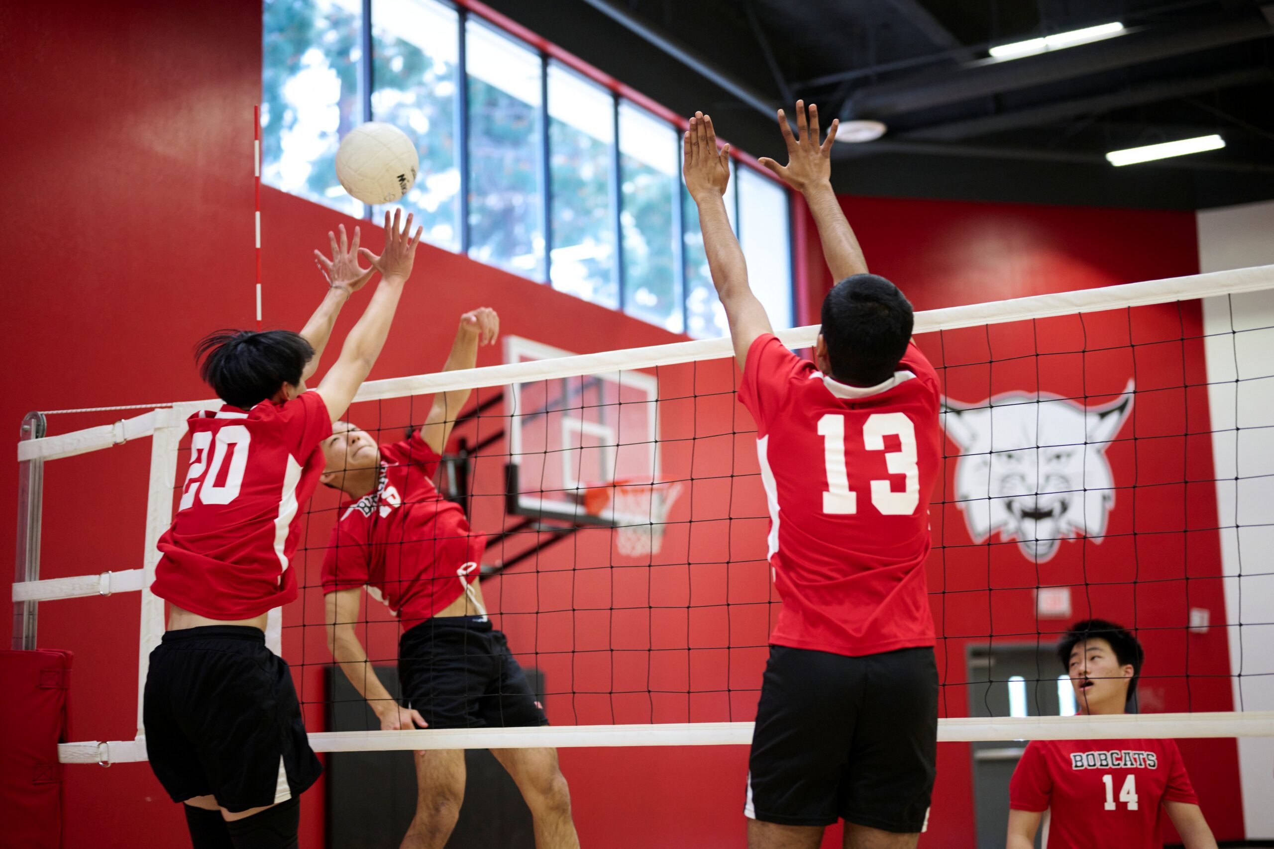 Featured Image for Meet Our New Subject Expert Teacher: Coach Jacqueline Bateman