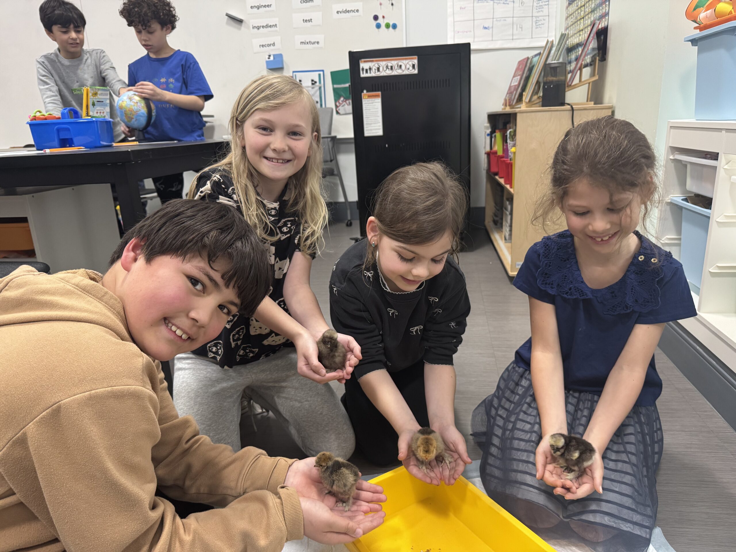 Featured Image for Making Science Come to Life: Every Spring, Our Cubs Watch Life Change Before Their Eyes